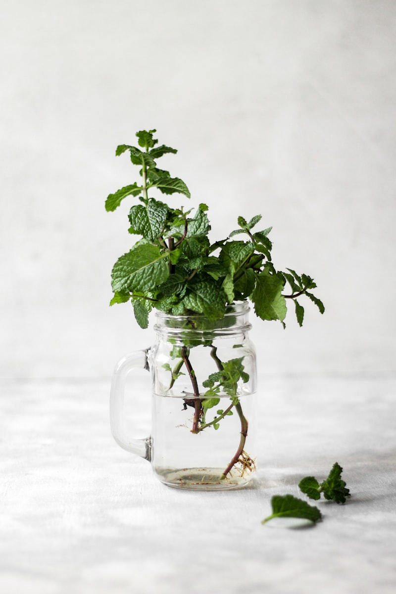 Mint